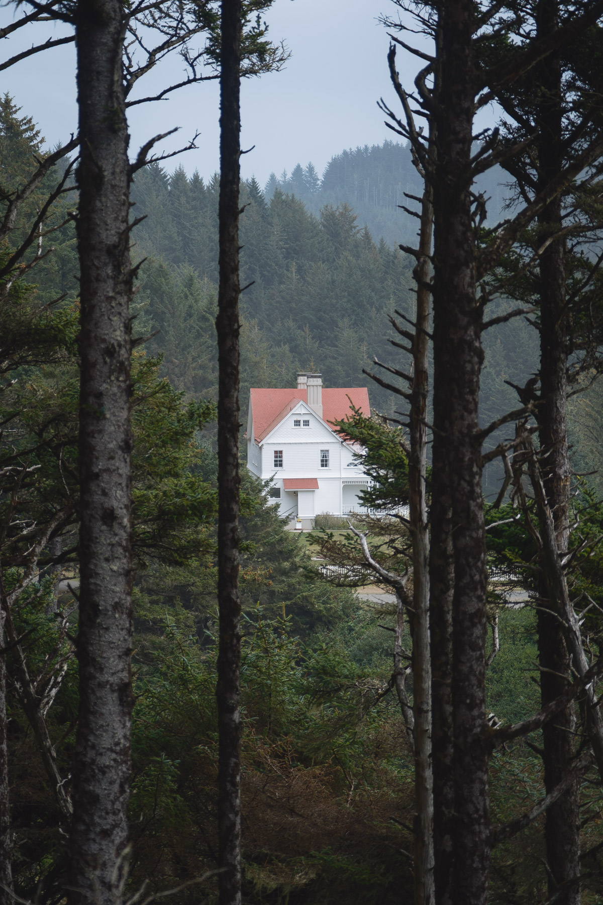Pacific Northwest Road Trip photo titled Pacific Coast 73